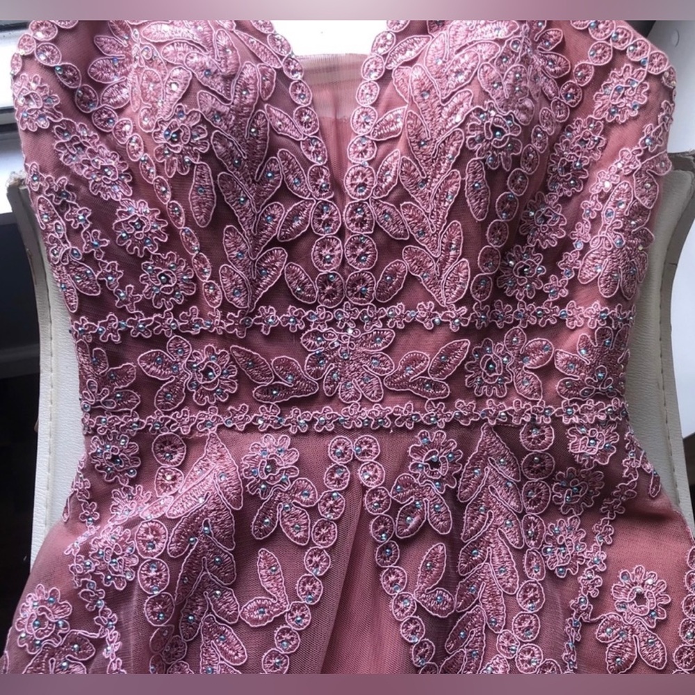 Blondie Nites Pink Embroidered Prom Dress